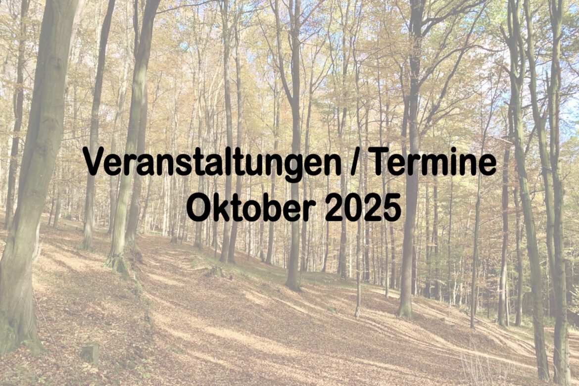 Veranstaltungen im Oktober 2025