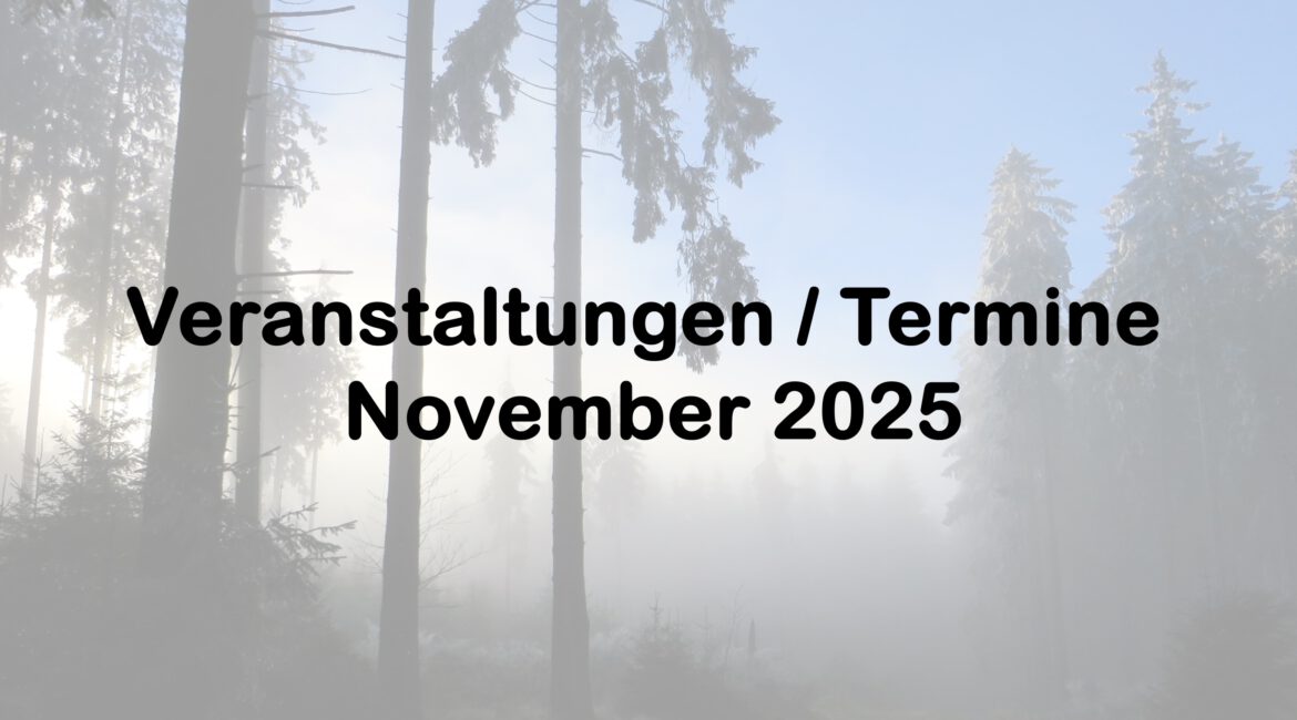 Veranstaltungen im November 2025