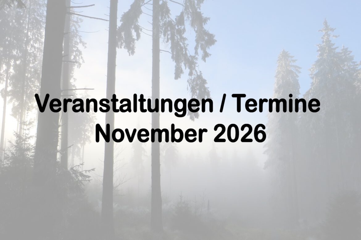 Veranstaltungen im November 2026